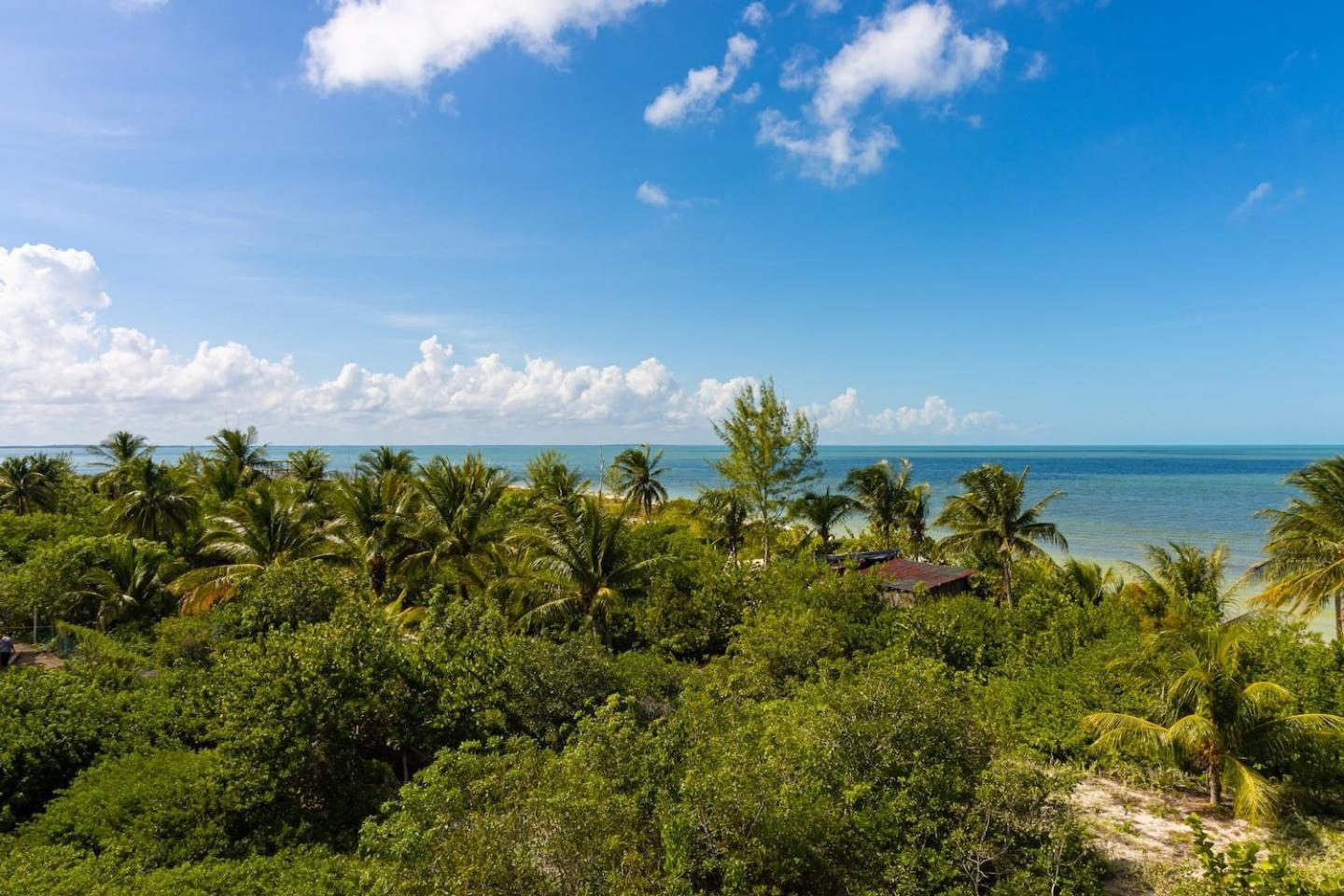 Beautiful Ocean View Penthouse With Private Pool -C301 Hotel Isla Holbox Exterior foto